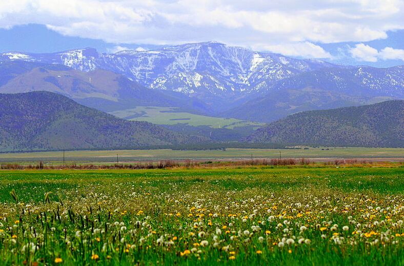 Utah